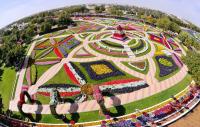 Imagine atasata: Dubai-Miracle-Garden-1.jpg